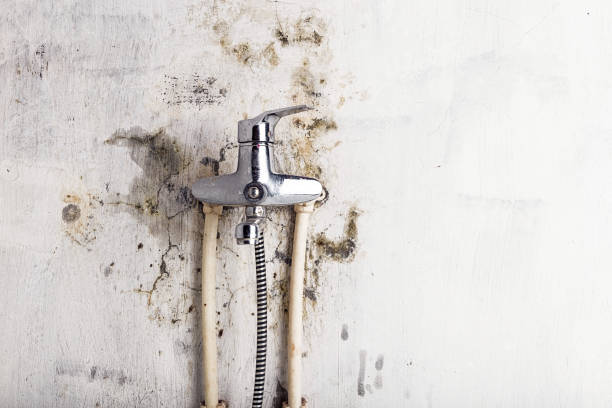 Best Residential Mold Remediation in Pendergrass, GA