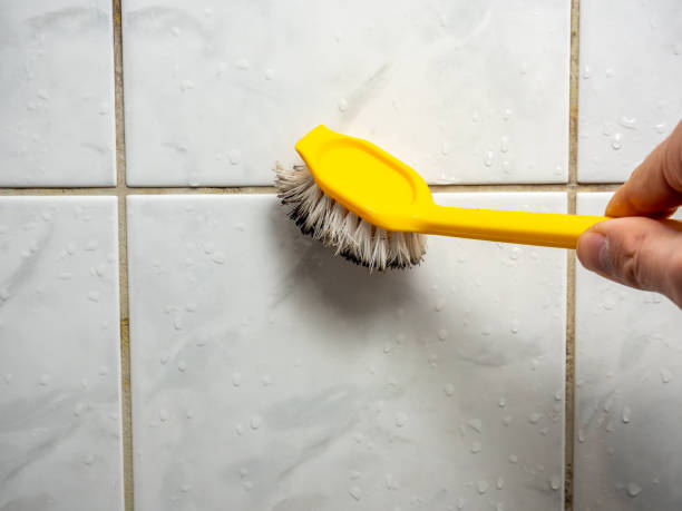 Best Bathroom Mold Remediation in Pendergrass, GA