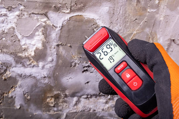 Best Black Mold Remediation in Pendergrass, GA