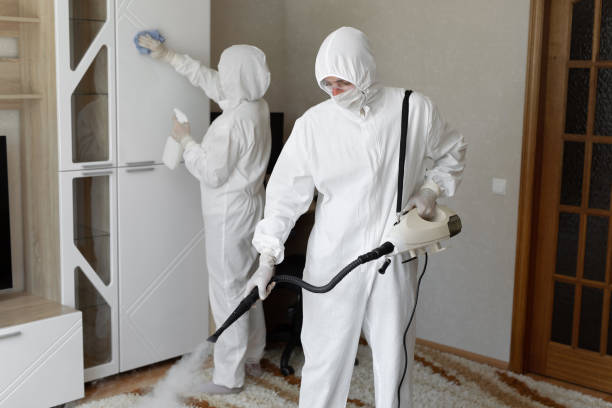 Best Industrial Mold Remediation in Pendergrass, GA