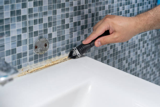 Best Bathroom Mold Remediation in Pendergrass, GA