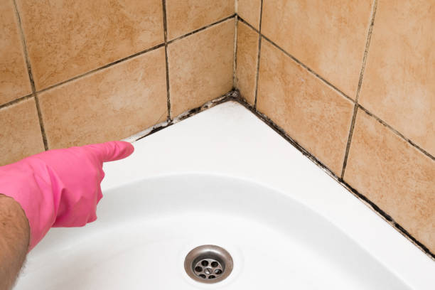 Best Mold Remediation for Schools in Pendergrass, GA